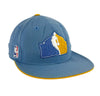 Denver Nuggets Cap